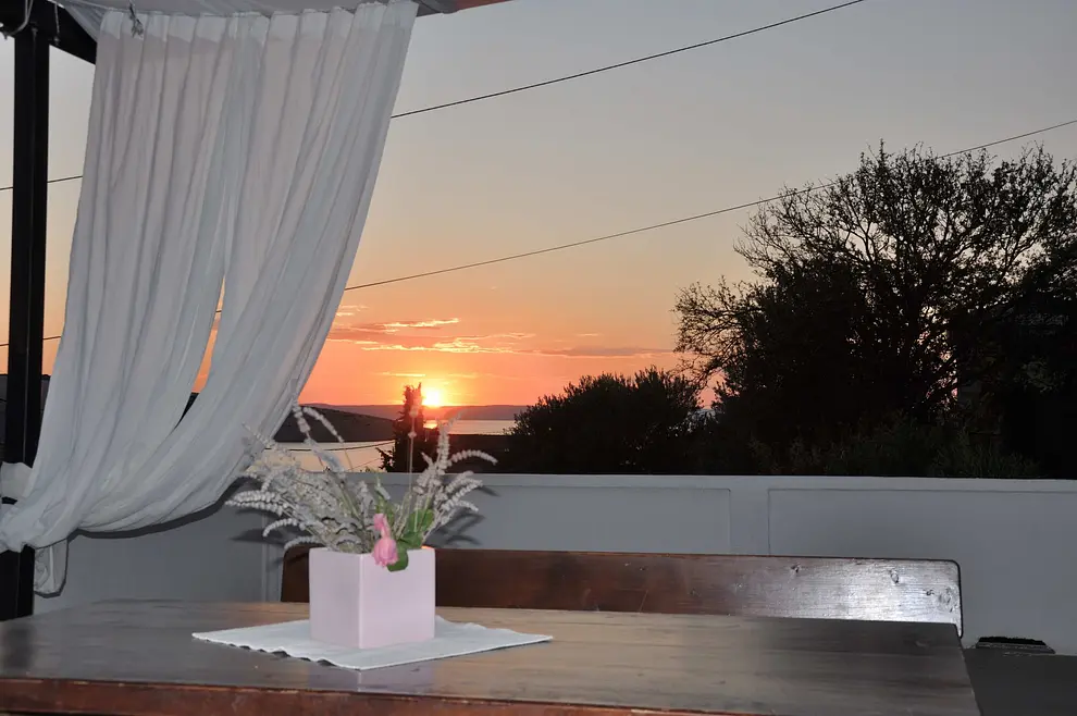 Ferienwohnung in Rab haustiergeeignet 66141367 23373