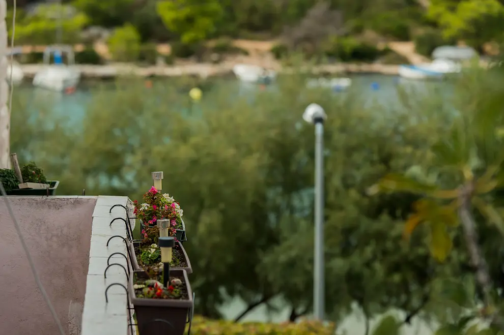 Ferienwohnung in Sibenik haustiergeeignet 66119599 7765