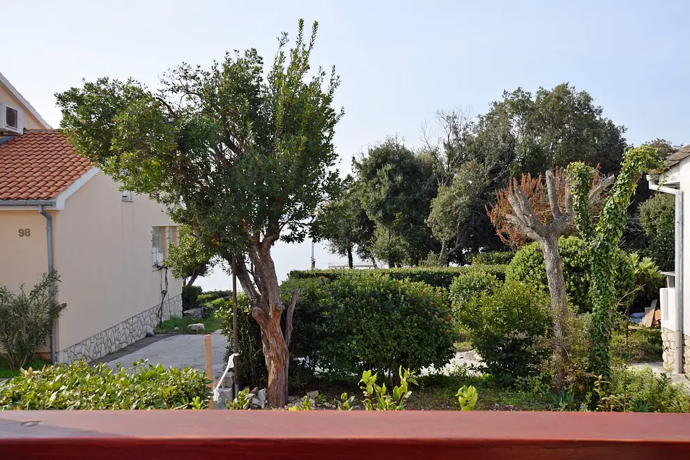 Ferienwohnung in Zadar  66114450 4856