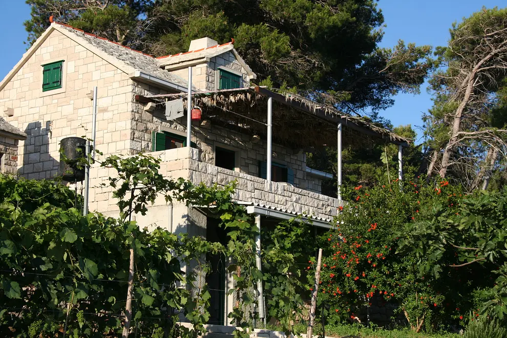 Ferienwohnung in Brac haustiergeeignet 999202862 31135 – Foto 8