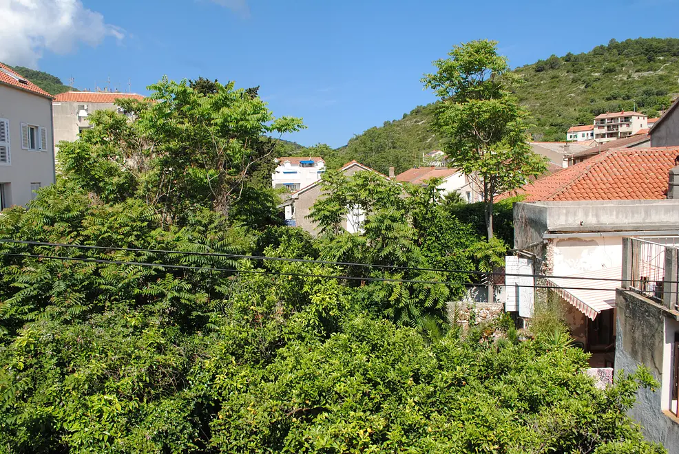 Ferienwohnung in Vis  999210638 38481 – Foto 12