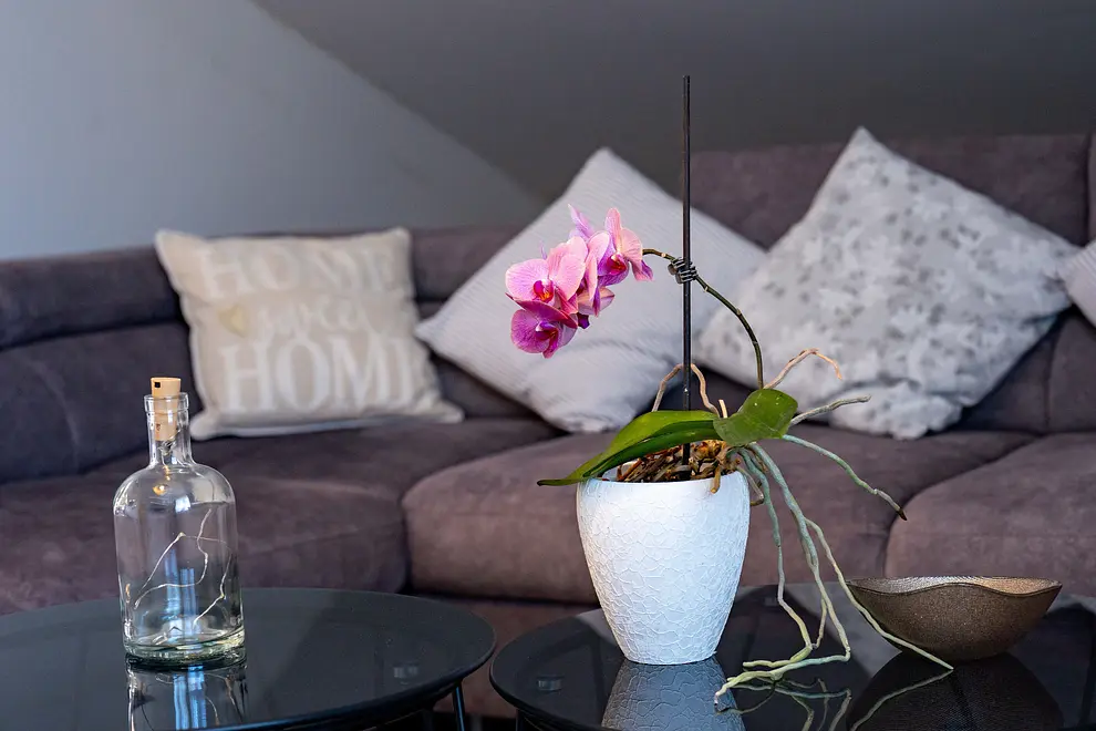 Ferienwohnung in Barbat  999237534 43093 – Foto 51