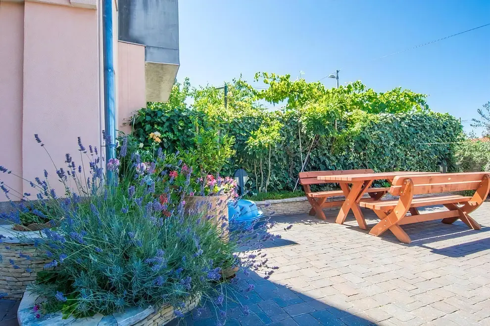 Ferienwohnung in Zadar  999212171 39857 – Foto 6