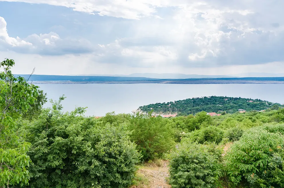 Ferienwohnung in Crikvenica haustiergeeignet 66118089 6603