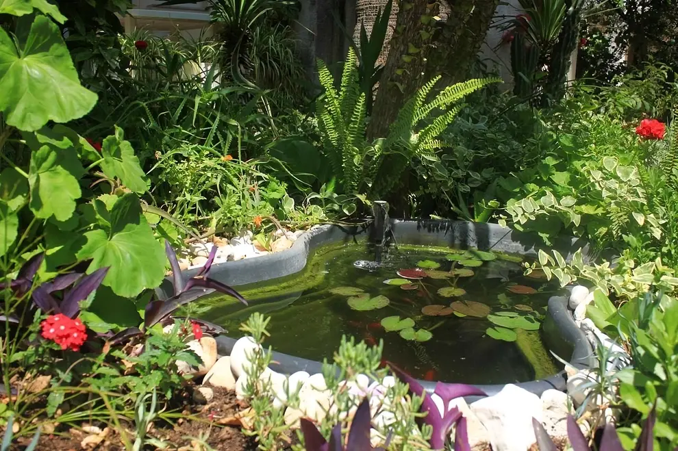 Ferienwohnung in Orebic  999212237 39913