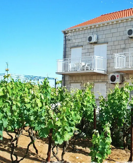 Ferienwohnung in Korcula haustiergeeignet 66154403 27783