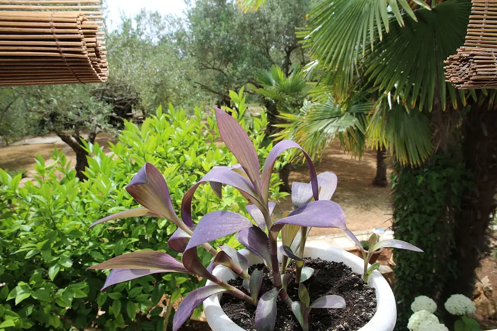 Ferienwohnung in Vodice  999213074 40614 – Foto 14