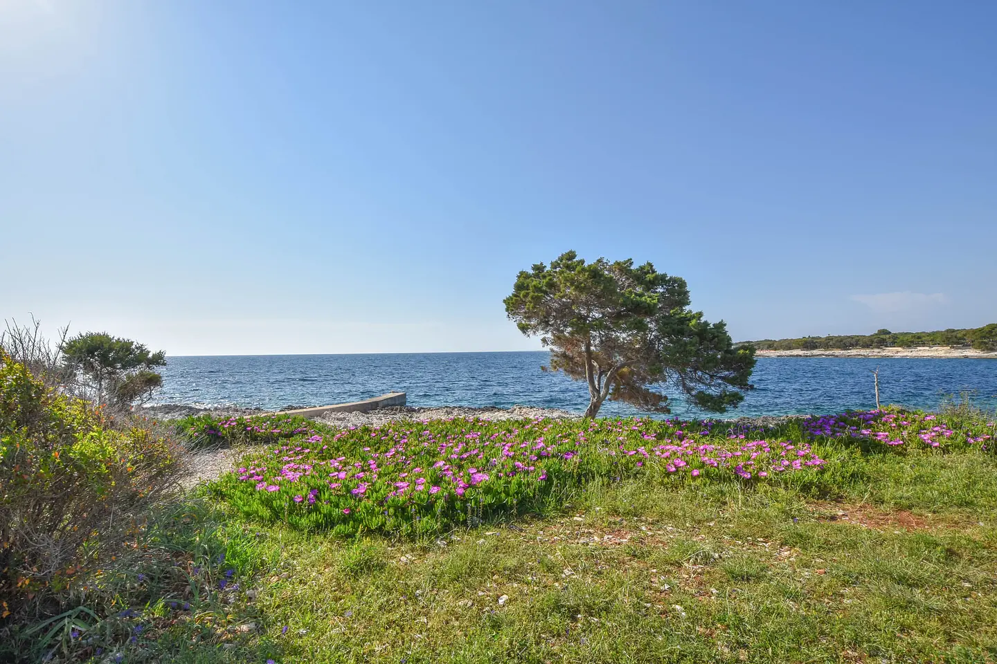 Ferienwohnung in Dugi Otok  999202562 30839