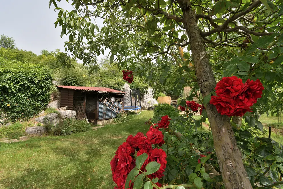 Ferienwohnung in Labin mit Pool 999211712 39460 – Foto 32