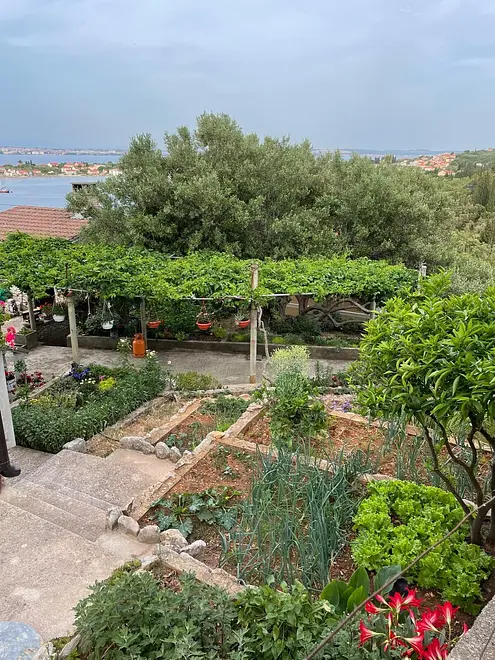 Ferienwohnung in Preko  999229764 42656 – Foto 8