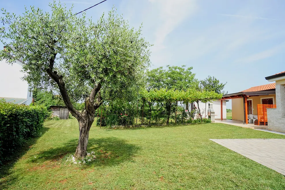 Ferienappartment in Brela  999231603 42771 – Foto 11