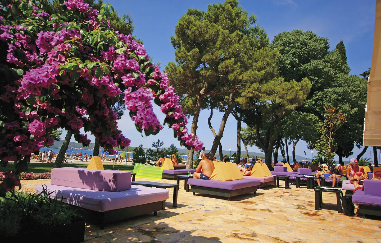 Ferienwohnung in Biograd  999206752 34840