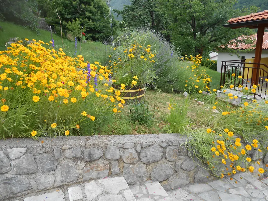 Ferienwohnung in Opatija haustiergeeignet 999206504 34605 – Foto 3