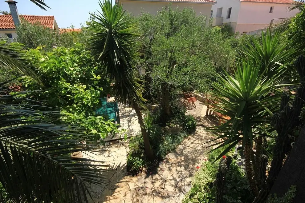 Ferienwohnung in Orebic  999212236 39912