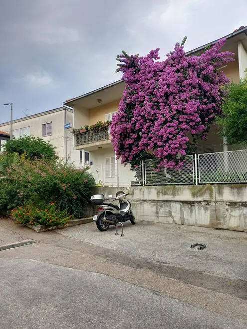 Ferienappartment in Trogir  999209093 37024 – Foto 3