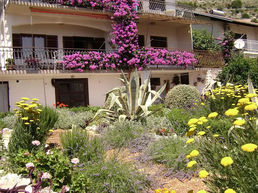 Ferienwohnung in Seget  66153409 27082