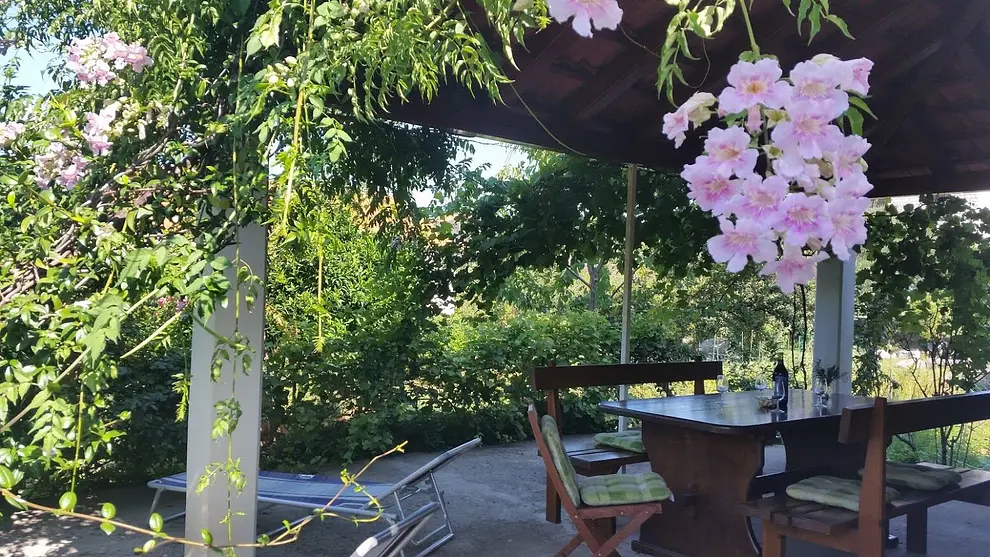 Ferienwohnung in Peljesac haustiergeeignet 999203078 31337 – Foto 38