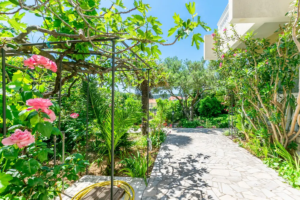 Ferienwohnung in Barbat  999208008 35992 – Foto 7