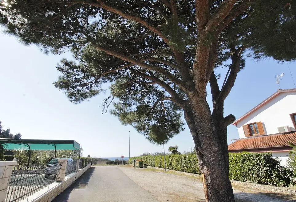 Ferienwohnung in Umag haustiergeeignet 66135819 19672