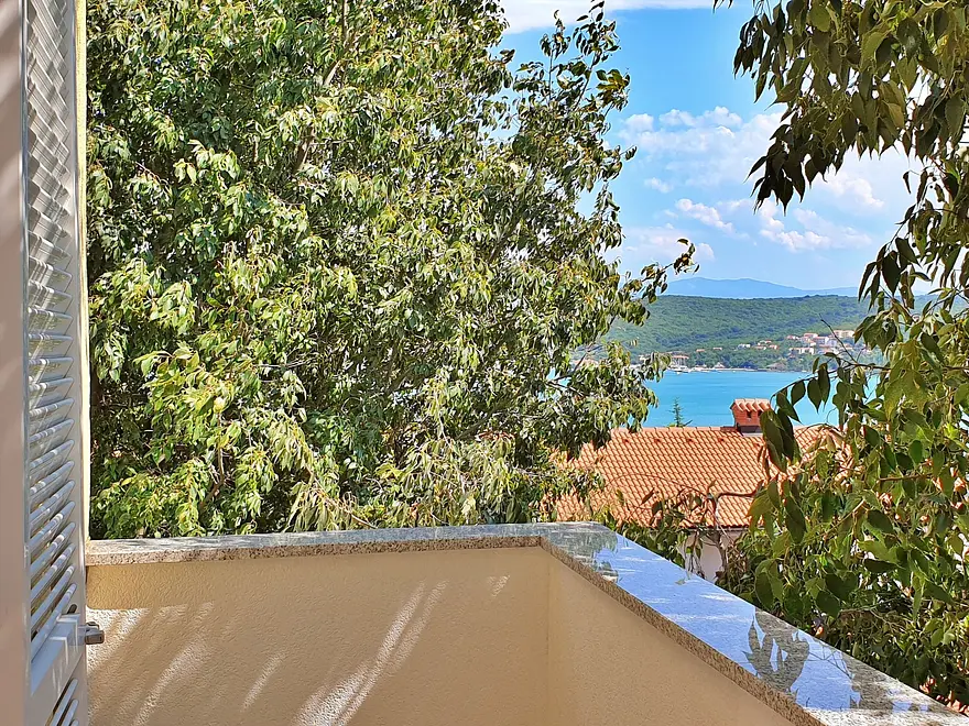 Ferienwohnung in Dobrinj haustiergeeignet 66127906 14196