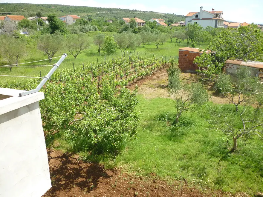 Ferienwohnung in Posedarje  66131556 16908