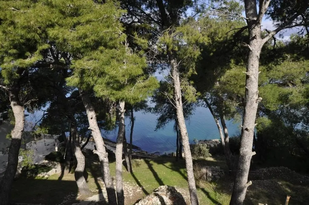 Ferienwohnung in Ciovo  66157159 28852