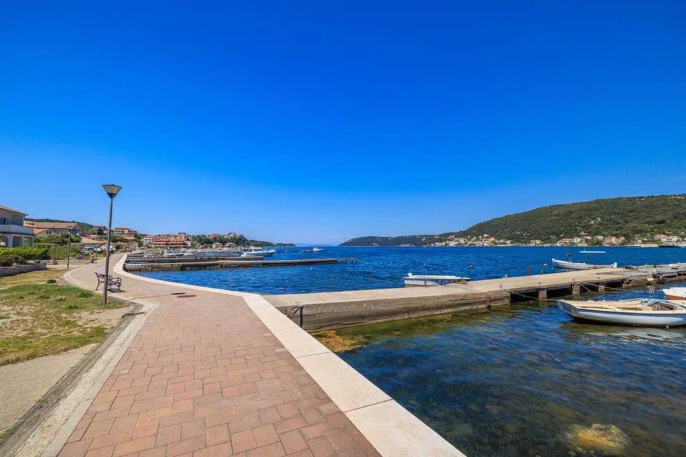 Ferienwohnung in Rab haustiergeeignet 999203410 31659