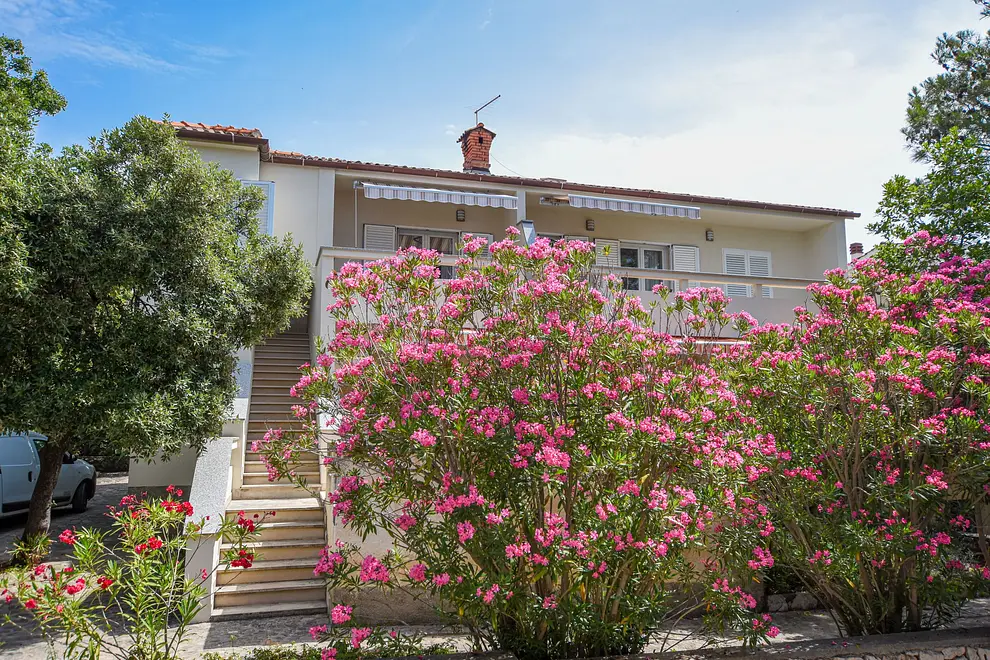 Ferienwohnung in Mandre  999211007 38831 – Foto 4