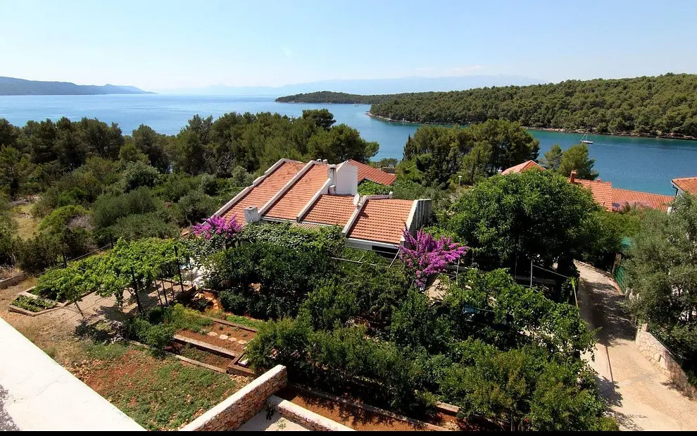 Ferienwohnung in Hvar haustiergeeignet 66152071 26028