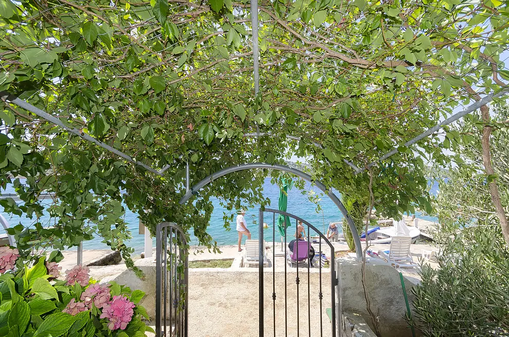 Ferienwohnung in Vodice  6619778 3131