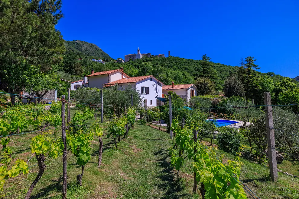 Ferienwohnung in Krsan mit Pool 999204998 33170 – Foto 53