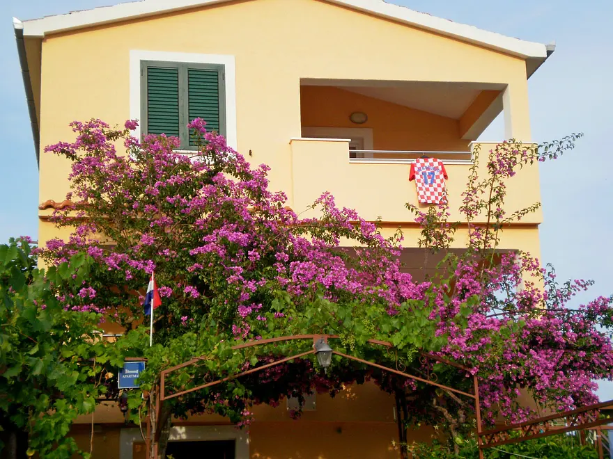 Ferienwohnung in Rogoznica  999203905 32131 – Foto 14