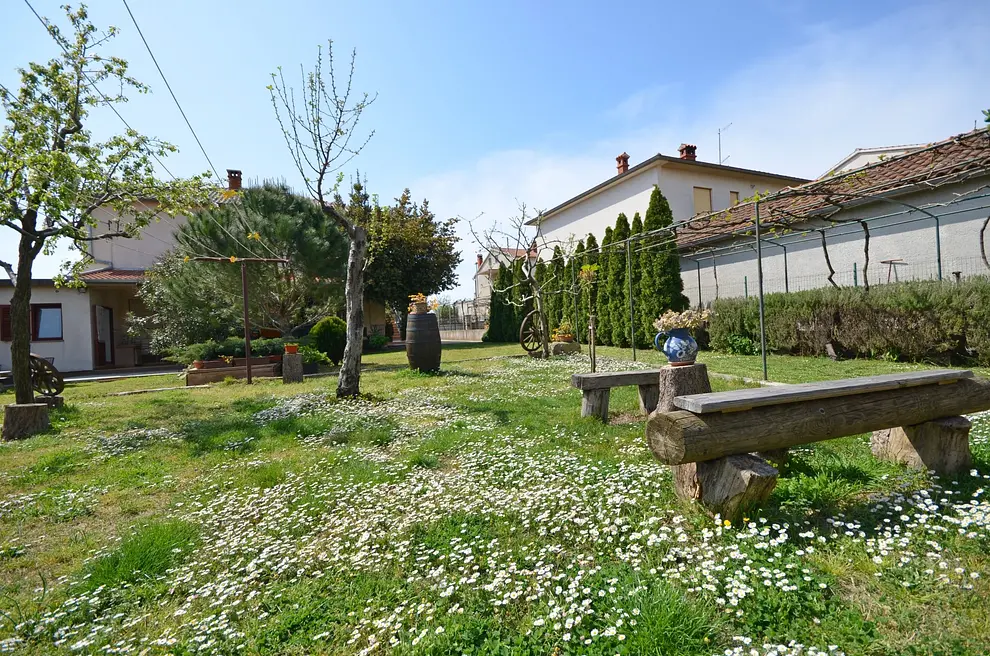 Ferienwohnung in Pula  999203208 31464