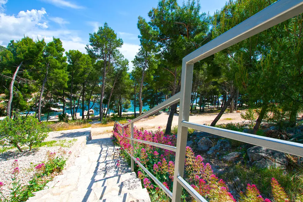 Ferienwohnung in Biograd  999211545 39313 – Foto 3