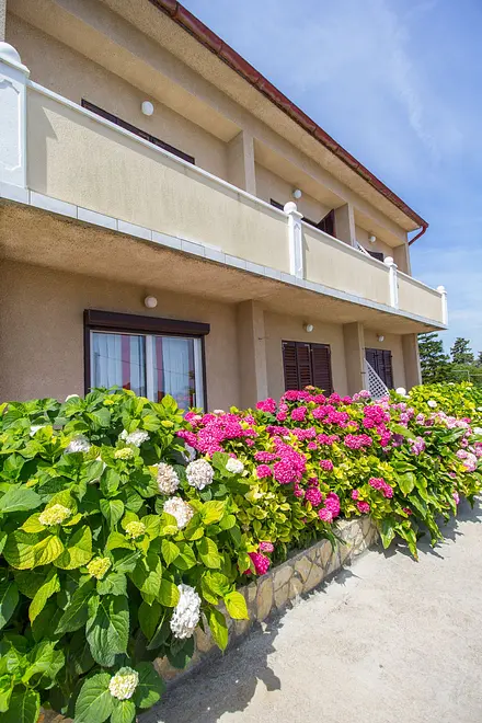 Ferienwohnung in Losinj  999223812 41928 – Foto 10