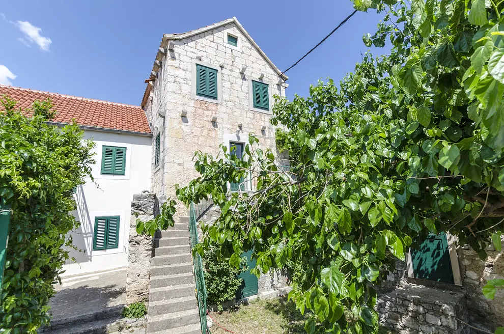 Ferienwohnung in Bol haustiergeeignet 66119707 7851