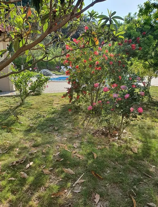 Ferienwohnung in Palit mit Pool und haustiergeeignet 999209299 37226 – Foto 4
