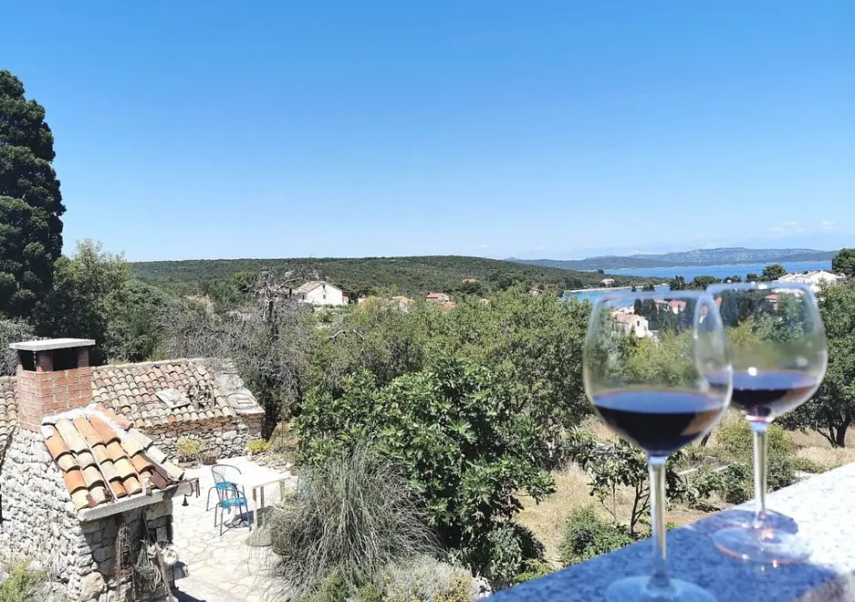 Ferienwohnung in Dugi Otok haustiergeeignet 999211541 39309 – Foto 15