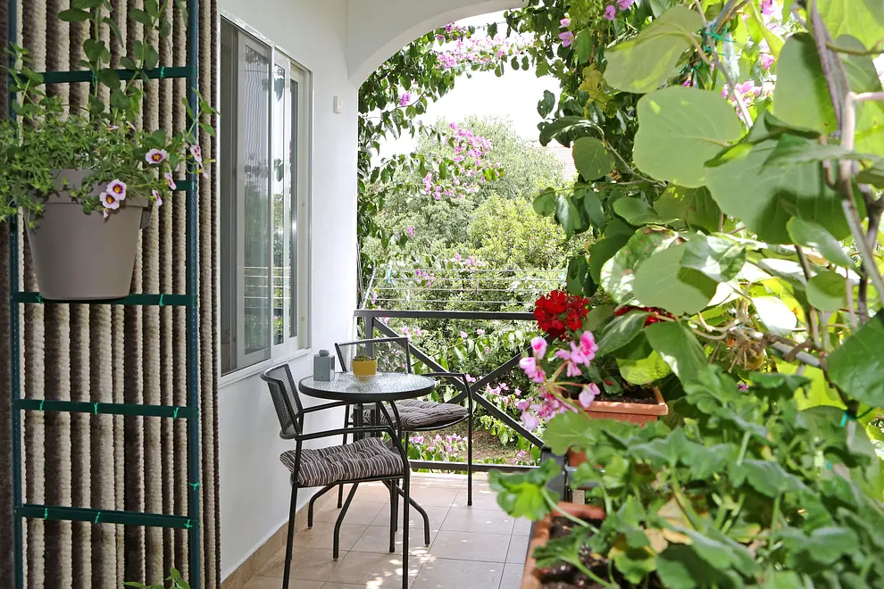 Ferienwohnung in Bibinje  66116562 5831