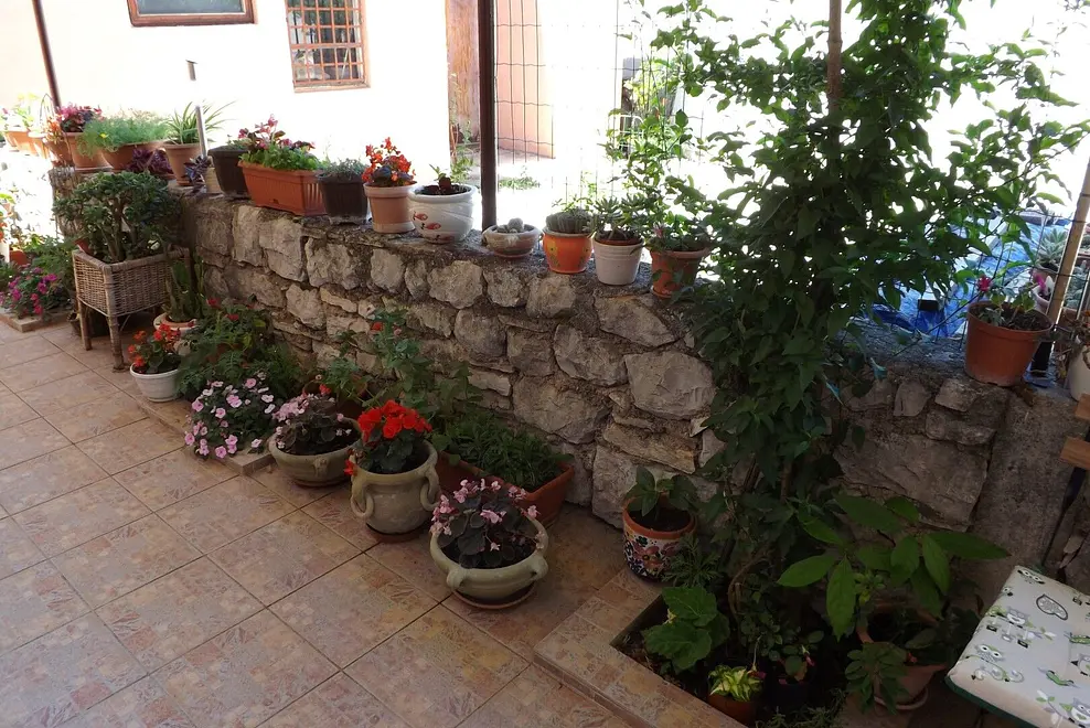 Ferienwohnung in Umag  999208109 36086 – Foto 5