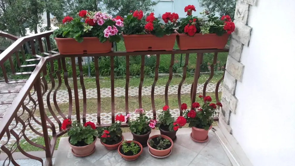 Ferienwohnung in Kastela  999208342 36313 – Foto 13