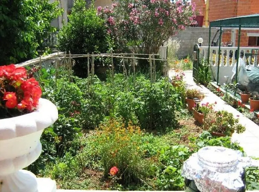 Ferienwohnung in Tribunj haustiergeeignet 66152237 26156