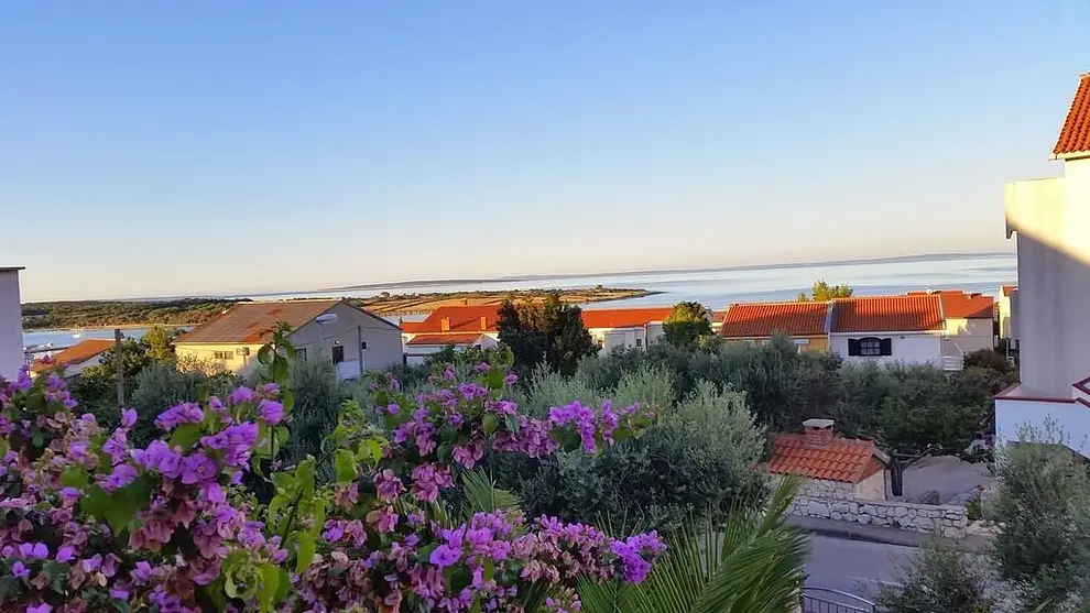 Ferienwohnung in Novalja mit Pool 999210352 38216 – Foto 7
