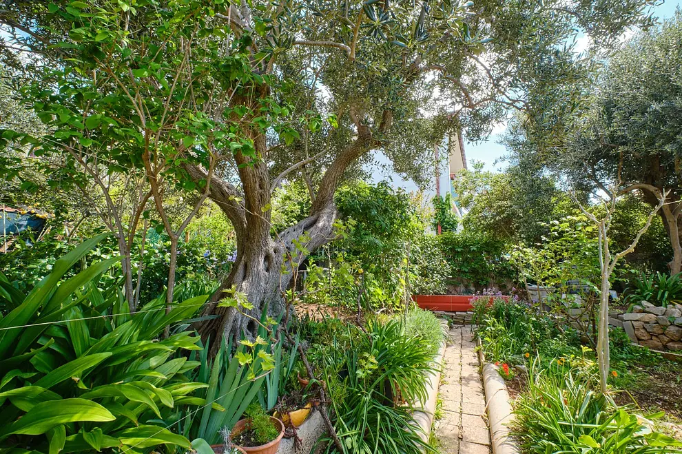 Ferienwohnung in Losinj  999211205 39017