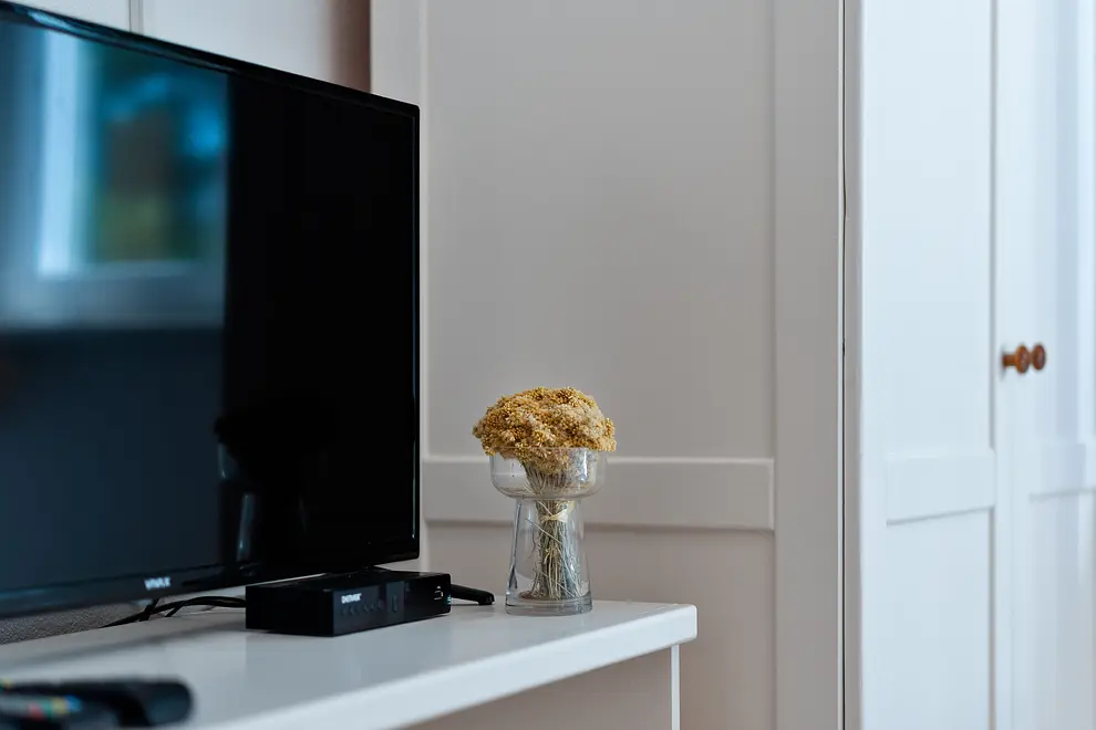 Ferienwohnung in Mandre haustiergeeignet 999203452 31700 – Foto 4