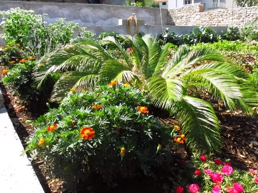 Ferienwohnung in Brac  999202699 30973 – Foto 12
