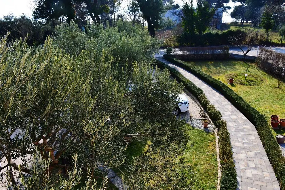 Ferienwohnung in Sukosan  999211551 39319 – Foto 8