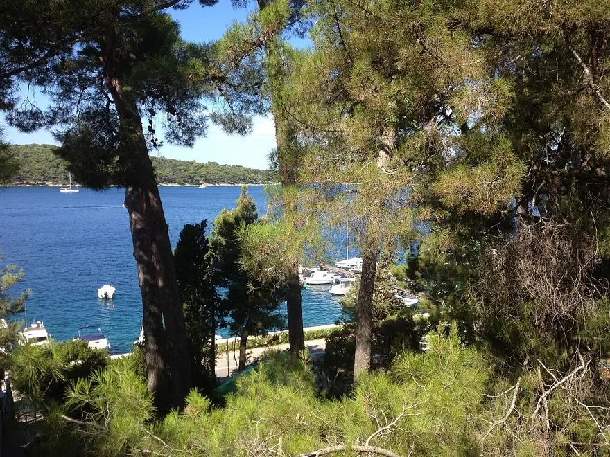 Ferienwohnung in Losinj haustiergeeignet 66152811 26604