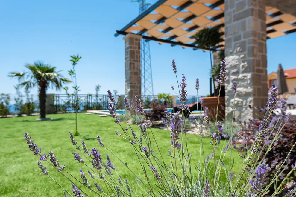 Ferienhaus in Orebic mit Pool 999219022 41518 – Foto 19