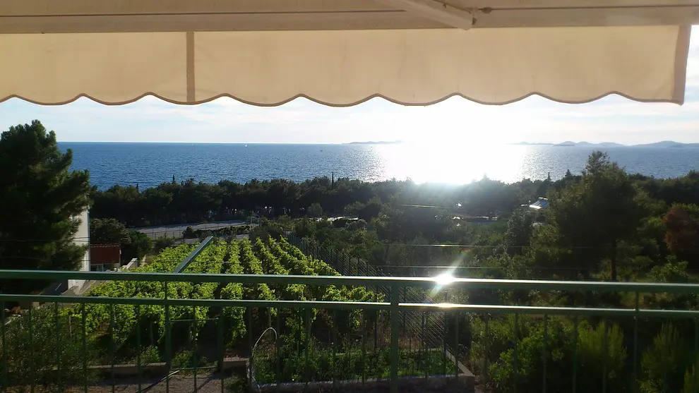 Ferienwohnung in Primosten  66153012 26785